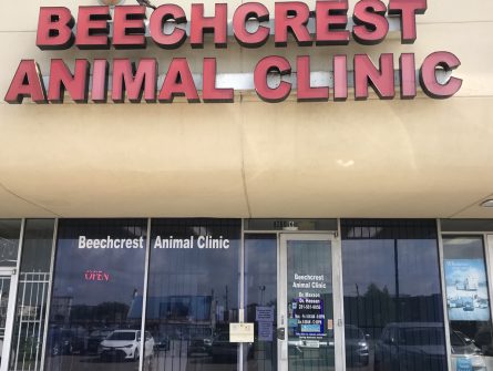 beechcrest animal clinic store front